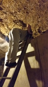 R came close to bathing in wine as he leaned in for a sniff!