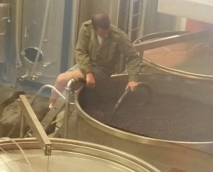 Seeing all the action during harvest time - pumping over